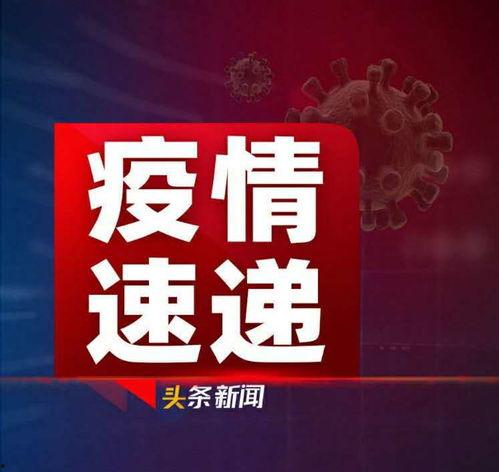 早安爆料头条新闻最新,揭秘今日热点事件，带你直击社会焦点  第3张